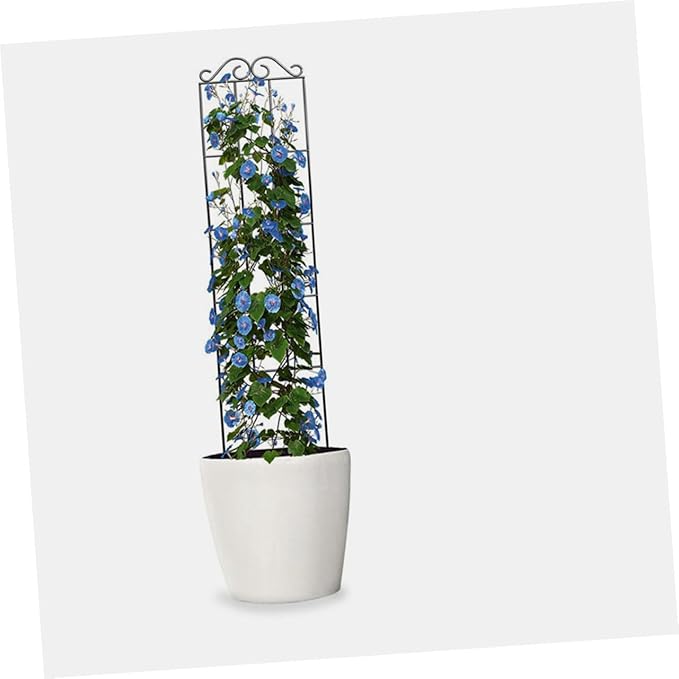 Gadpiparty 4pcs Garden Trellis for Flower Pot Climbing Plant Frame Metal Plant Support Stand 50x15cm Black for Indoor Outdoor Potted Vines and Vegetable Climbing