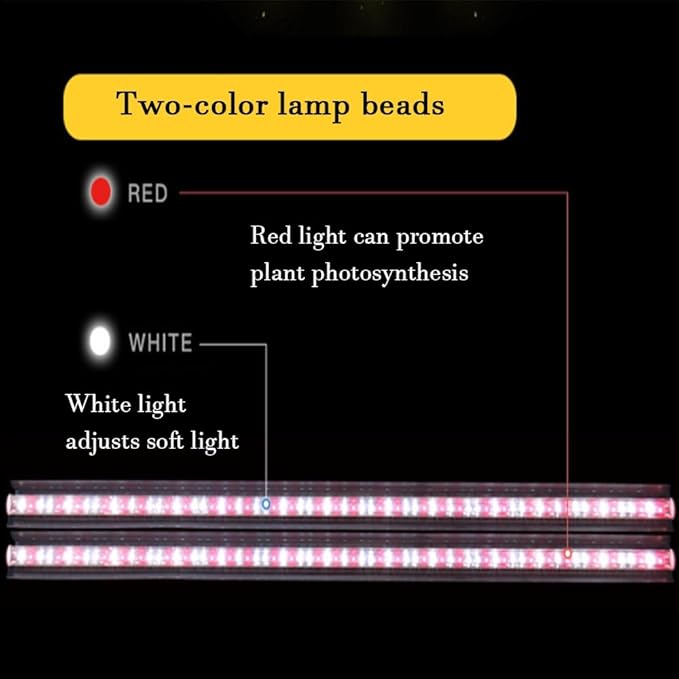 Vertical Indoor Garden with Grow Light Garden Hydroponics Growing System Kit Energy-Saving Two-Color Lamp Beads Automated Management for Vegetable Fruit Herb
