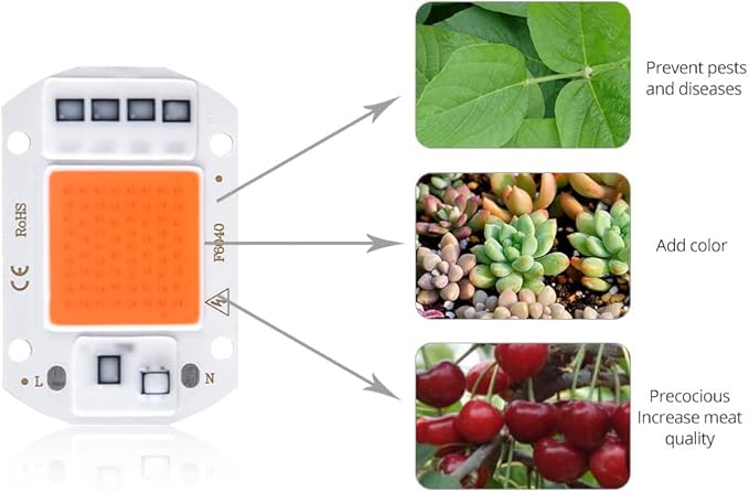 Indoor Lighting Pack of 20 LED Plant Grow Light Chips AC110V 20W/30W/50W Full Spectrum Plant Light(20W)