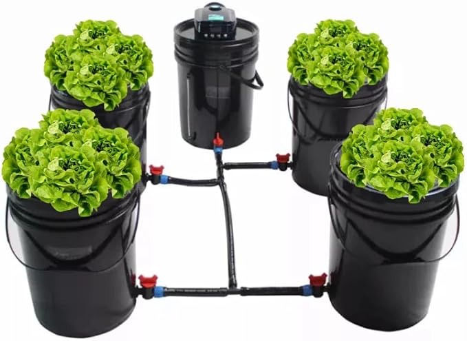 GROZY DWC Hydroponics Grow System Black Bucket Kit with Air Pump 5 Buckets 5 Gallon Each 15x12x12 Inches Indoor Growing
