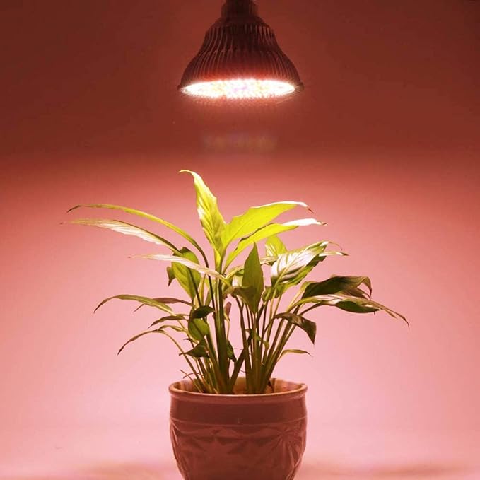 Full Spectrum Clip Plant Growing Lamp LED Grow Light with White Red Blue Warm White LEDs for Indoor Plants