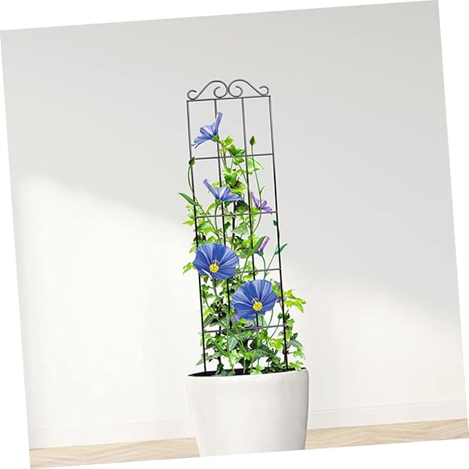 Beaupretty 4pcs Metal Plant Support Frames Climbing Trellis Garden Plant Fixed Rings for Indoor Outdoor Vines and Flowers 50x15cm Black Greenhouse Support