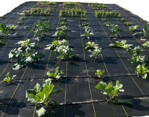 Hoss Lazy Garden Ground Cover 15' X 20'