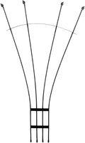 Fan Wrought Iron Garden Trellis 56 H x 38 W Climbing Plant Support for Roses Clematis Mandevilla Graphite Powder Coated