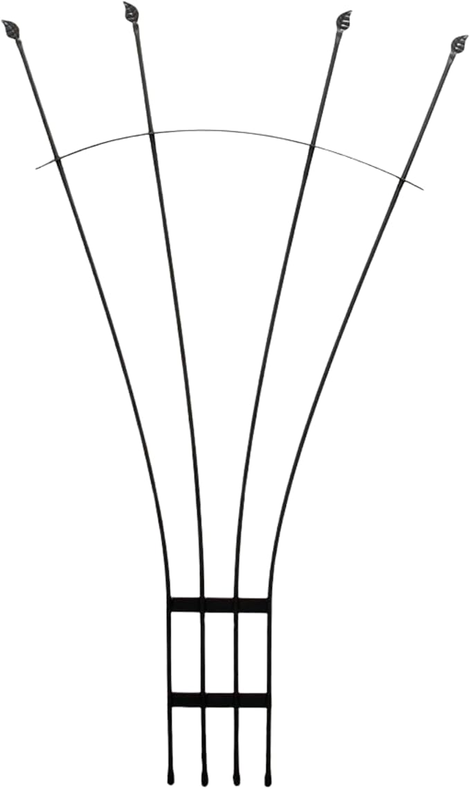 Fan Wrought Iron Garden Trellis 56 H x 38 W Climbing Plant Support for Roses Clematis Mandevilla Graphite Powder Coated