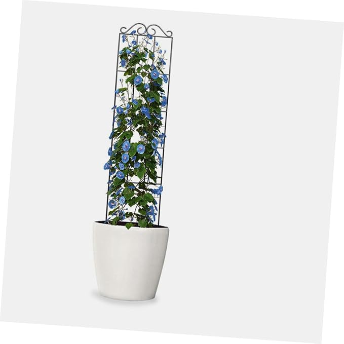 4pcs Metal Plant Support Hoop Trellis for Climbing Vines Vegetables Flowers Potted Plant Stand Frame 50x15cm Black for Garden and Home Use
