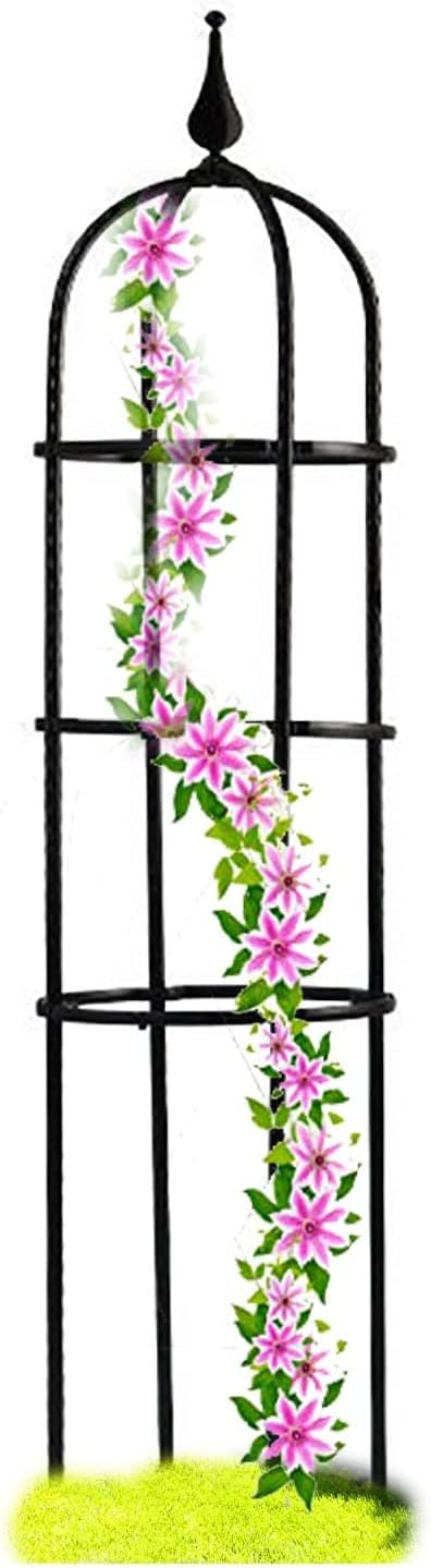 Garden Obelisk Trellis for Climbing Plants Outdoor 47.32429.535.5 H Metal Trellis with Anti-Rust Coated Garden Trellis for Potted Climbing Flowers Vegetable Vine Indoor Outdoor ( Size : 10/25cm