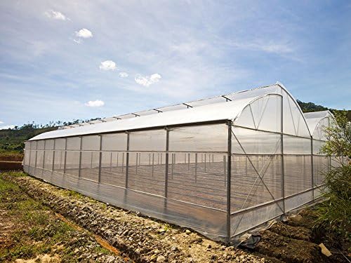GT4 6 Mil Uv Treated Standard Clear Greenhouse Film 24' Wide X 100' Long