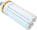 250W CFL Lamp - Warm White