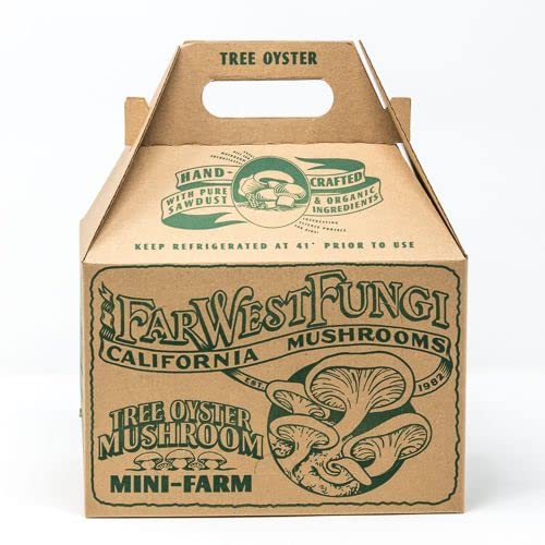 Far West Fungi Oyster Mushroom Mini-Farm Grow Kit 5lbs Non-GMO Easy to Use Grow Your Mushrooms at Home Tree Oyster Produced by Real Farmers in California Indoor