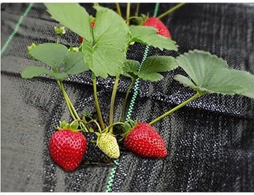 5~20m Weed Control Fabric Heavy Duty Weed Barrier Fabric 100gsm Garden Landscape Fabric for Garden Flower Beds Pathways 1pcs(1x20m)