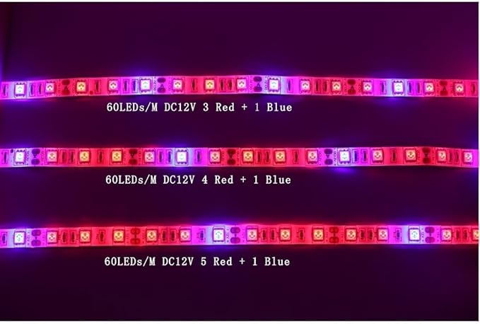 Fengyan Landscape Lights 5M LED Phyto Lamps Full Spectrum LED Strip Light 300 LEDs 5050 Chip LED Fitolampy Grow Lights for Greenhouse Hydroponic Plant LED Street Lamp