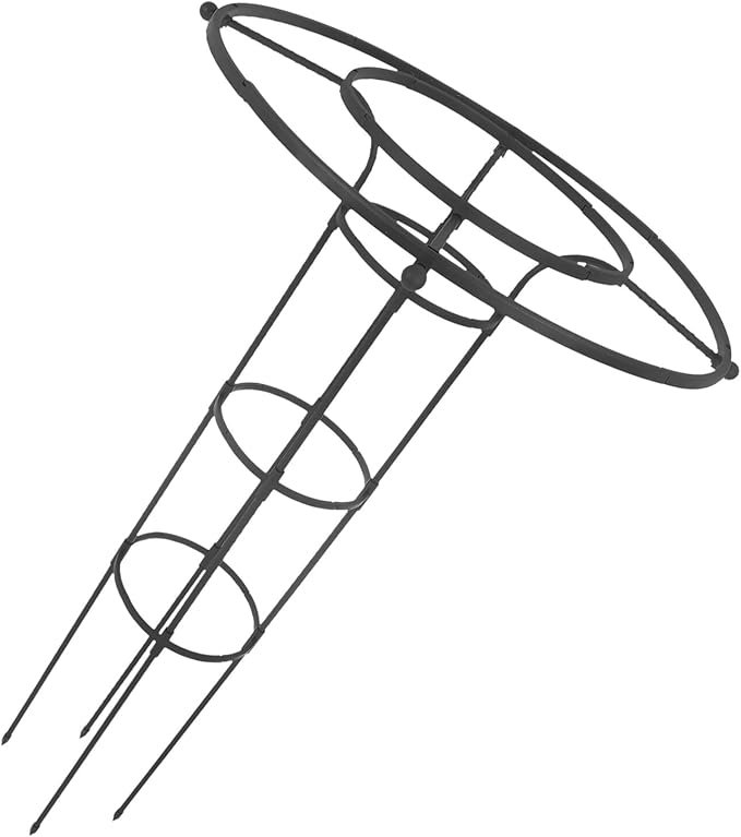 BESPORTBLE Umbrella Shaped Plant Support Trellis for Climbing Vines and Roses Easy Assembly No Tools Needed Outdoor Garden Climbing Frame Versatile Plant Protection Device Black Double Ring