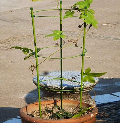 Tomato Cage Plant Support Garden Trellis Plant Cage Plant Support Green Set of 3 (Adjustable 3pack-30'')