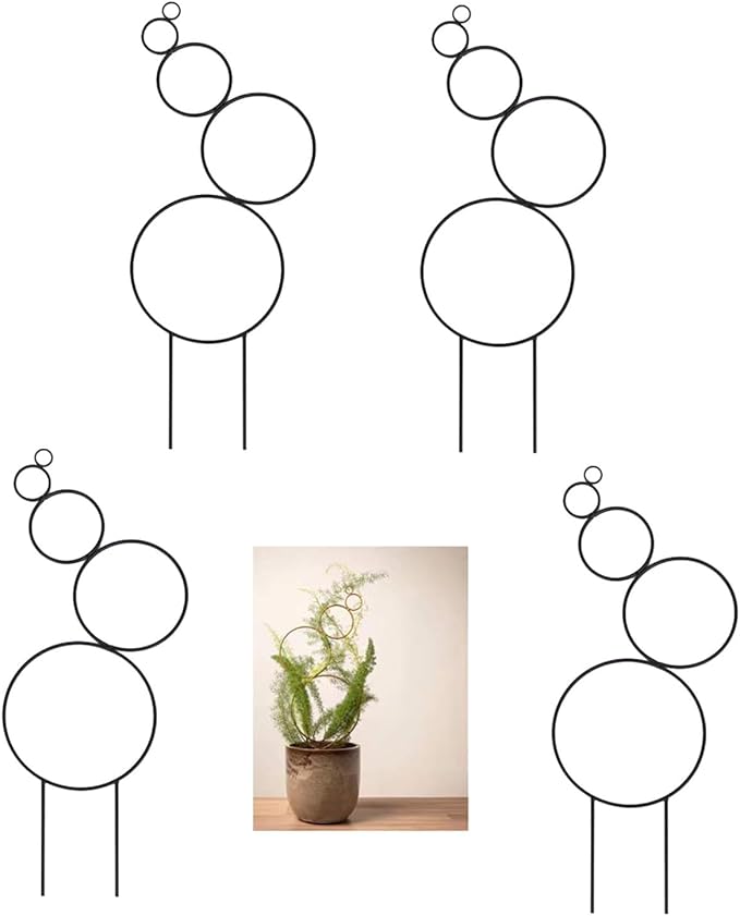 4 Pcs Small Metal Trellis for Potted Plants Indoor Plant Trellis Mini Garden Trellis for Potted PlantsHoyaPothosFlowerMonstera(Color:Black)