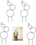 4 Pcs Small Metal Trellis for Potted Plants Indoor Plant Trellis Mini Garden Trellis for Potted PlantsHoyaPothosFlowerMonstera(Color:Black)