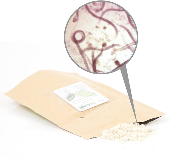 BioLogic Scanmask Steinernema Feltiae (Sf) Beneficial Nematodes for Natural Insect Pest Control 1 Billion Size (10 Units of The 100 Million Size)