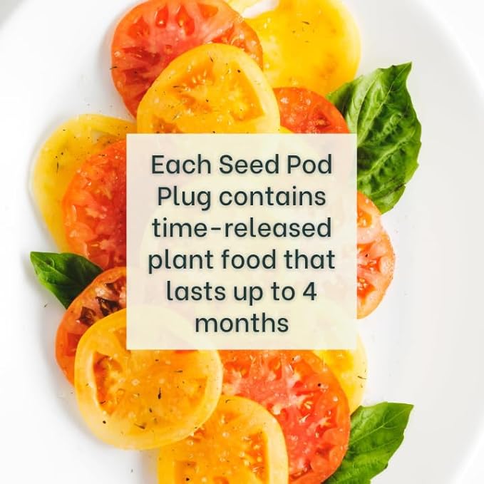 Genovese Basil - Complete Seed Pod Plugs with Plant Food - 10 Pods for Hyrdoponic Gardens Click and Grow Lettuce Grow and Outdoor Gardens