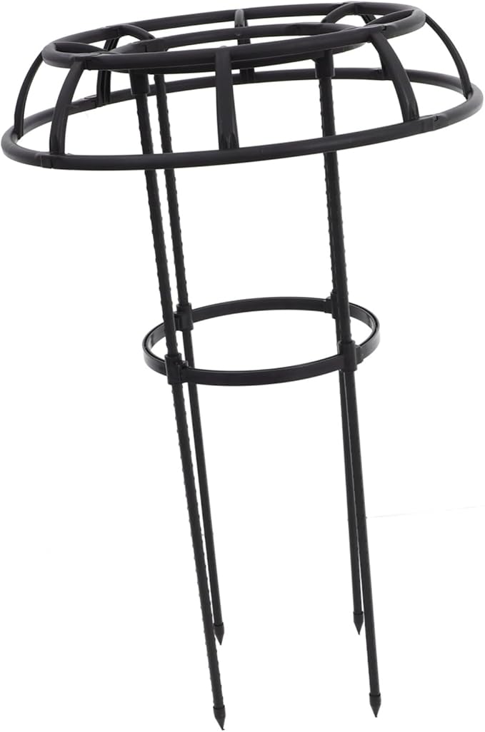 Garden Trellis Climbing Frame for Plants Metal Support Structure for Vines Potted Plant Accessories Decorative Iron Design for Use