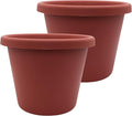The HC Companies 11.5 Inch Classic Round Planter Pots with Drainage Rolled Rim Plastic Planters for Indoor &amp Outdoor Plants 2-Pack Decorative Flower Pots for Garden Office &amp Home Decor Cla