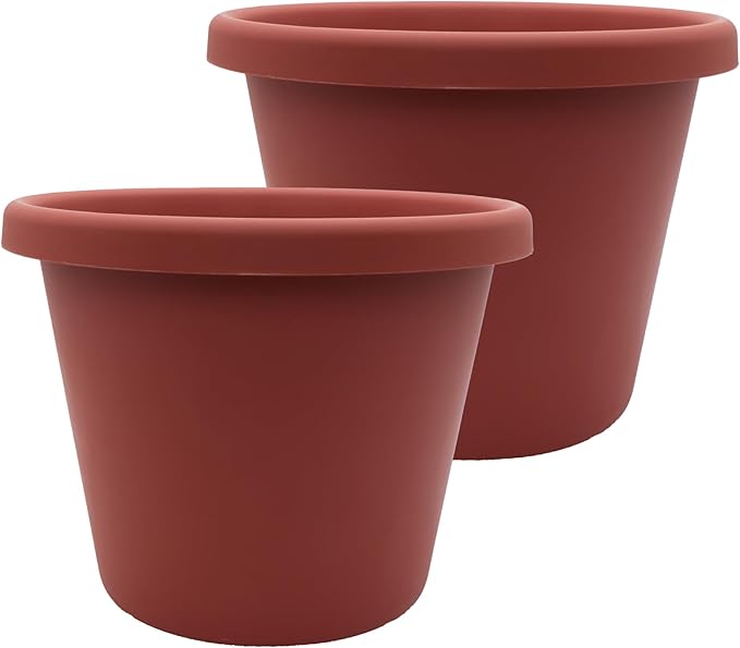 The HC Companies 11.5 Inch Classic Round Planter Pots with Drainage Rolled Rim Plastic Planters for Indoor &amp Outdoor Plants 2-Pack Decorative Flower Pots for Garden Office &amp Home Decor Cla