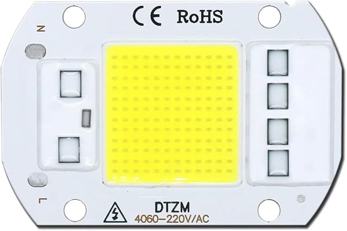 10PCS LED Chip Diode 220V LED Lamp 50W 30W 20W No Need Driver for Flood Light Spotlight LED Full Spectrum Plant Growth Lamp chip(Coldwhite20W)
