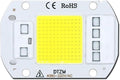 10PCS LED Chip Diode 220V LED Lamp 50W 30W 20W No Need Driver for Flood Light Spotlight LED Full Spectrum Plant Growth Lamp chip(Coldwhite30W)