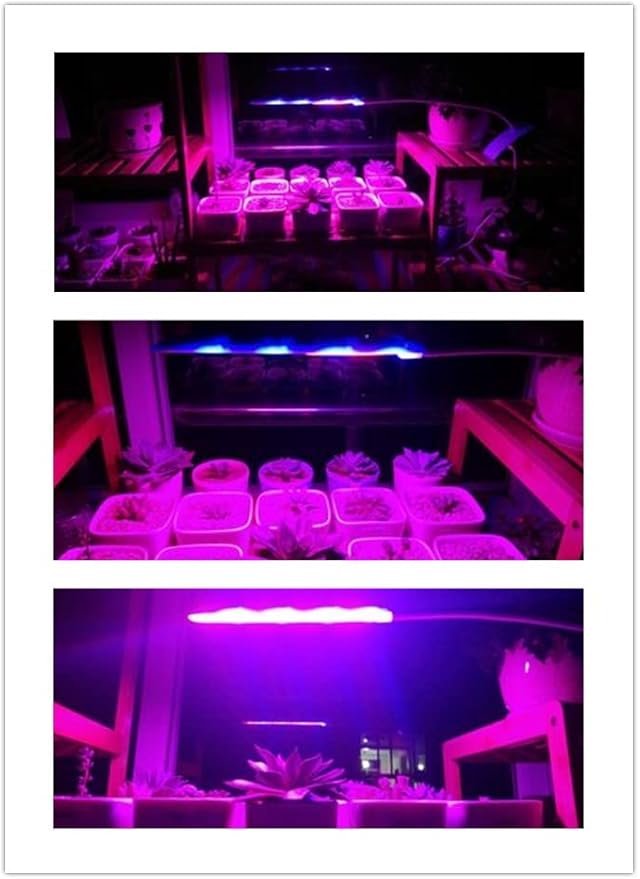 Grow Lamp for Plants 6W Adjustable Clip Desk Plants Grow Lights Lamp Bulb Clamp 360° Flexible Gooseneck for Indoor Plants (6W Blue)