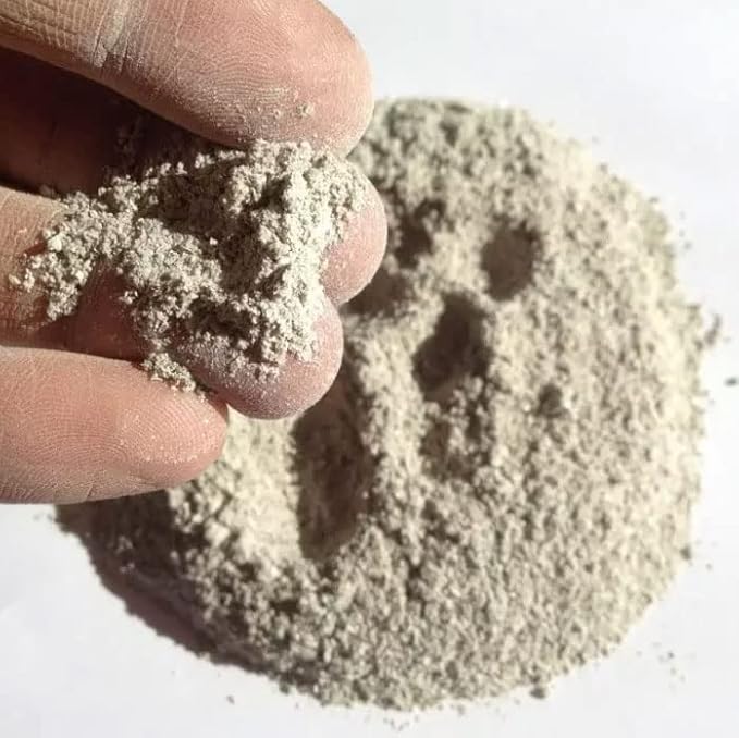The Bud Grower | California Hot Soil Premium Oyster Shell Flour | 6 lbs of Fine Powder 100% Organic Oyster Shell Flour | All-in-One Grow Tent Kit's &amp Supplies