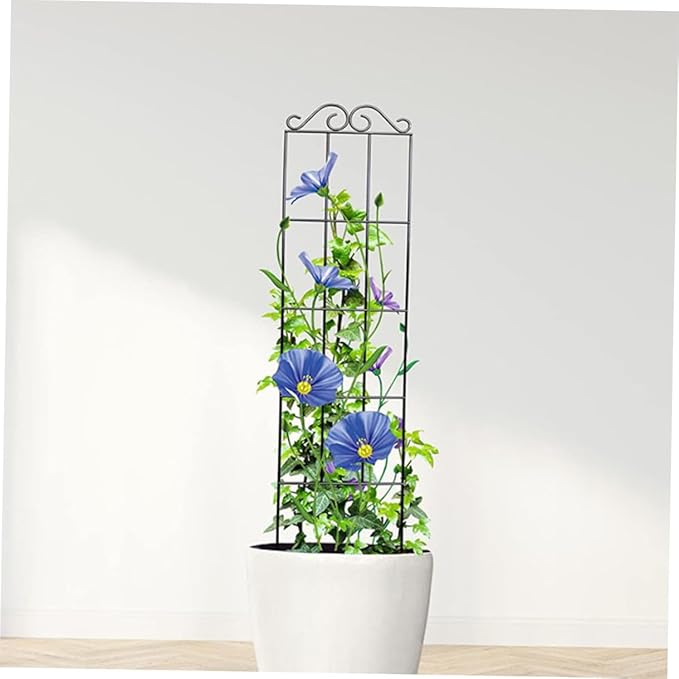 VOSAREA 4pcs Metal Climbing Plant Bracket Trellis Support for Vines Potted Plants Garden Indoor Outdoor 50x15cm Black Climbing Vine Frame