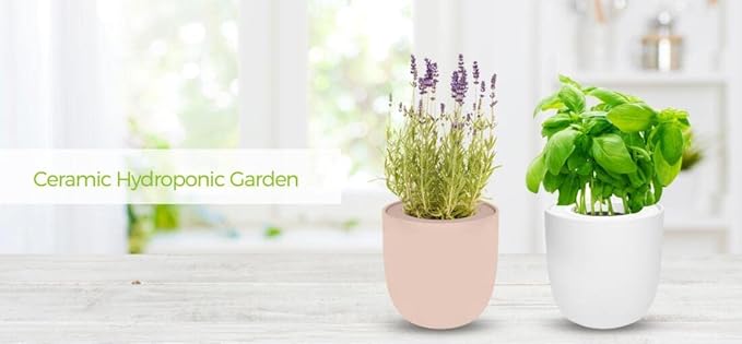 Hydroponic Growing Kit Self-Watering Garden Starter Kit with White Ceramic Pot and Seeds (Calendula)