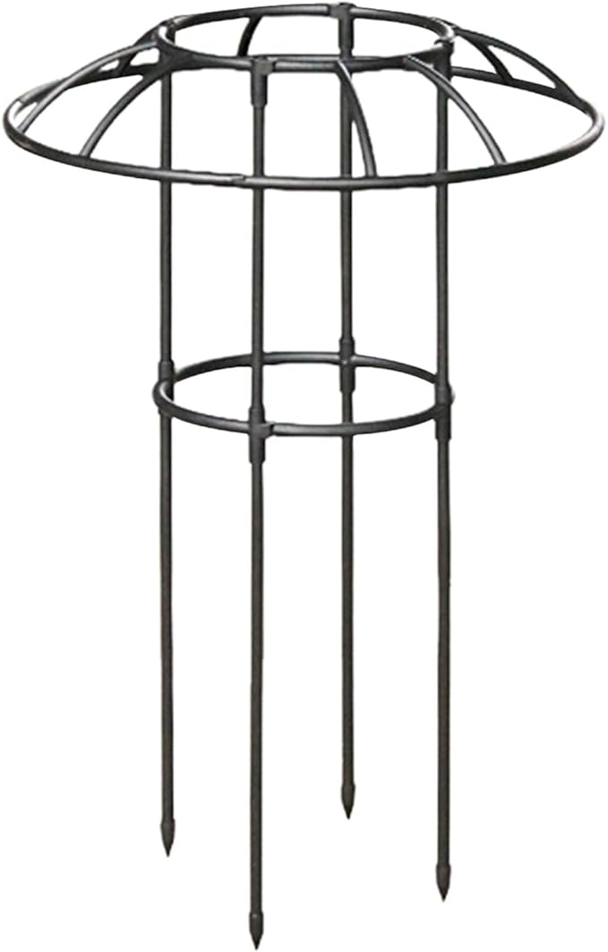 Umbrella Trellis | Decorative Vertical Rustproof Stable Climbing Plants Support | Outdoor Flower Support Cagefor Vine Rose Clematis Vegetable Dragon Fruit Cucumber Hydrangeas Jasmine