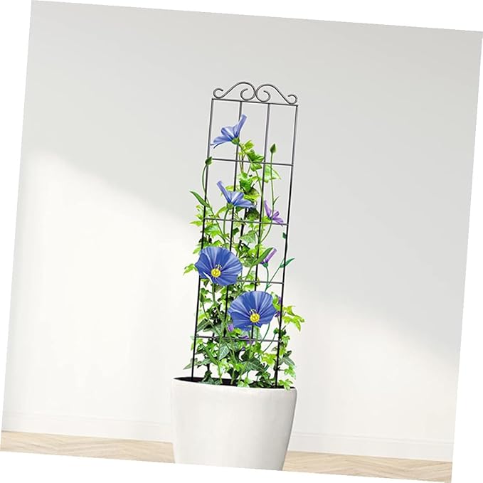 GLEAVI 4pcs Black Metal Climbing Vine Fixer Plant Support Frame Trellis for Indoor Outdoor Garden Potted Plants 50x15cm