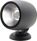Outdoor Spotlight Rotatable LED Landscape Light Decorative Lights IP65 Waterproof for Doorways Garden Garages Lawn(White30W-AC24V)