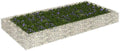 Gabion Raised Bed Galvanized Steel 78.7x39.4x7.9