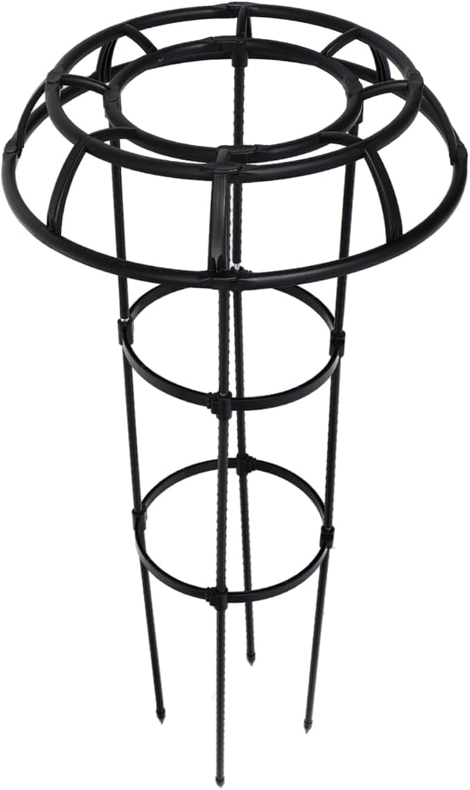 Plant Support Rack Garden Trellis for Climbing Plants Polished No Burrs
