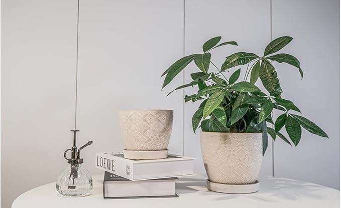 Docrin Ceramic Plant Pots Indoor 6.6 + 5.5 Inch Planters with Drainage Holes and Saucer for Home/Office - Set of 2 /White