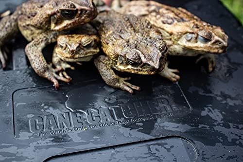 Cane Toad Catcher Trap - Humanely Protect Your Pets from Poisonous Cane Toads