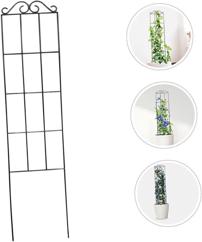 TEHAUX 4pcs Metal Climbing Plant Trellis Frame 50x15cm Black Vine Support for Garden and Potted Plants Climbing Cage for Indoor and Outdoor Gardening