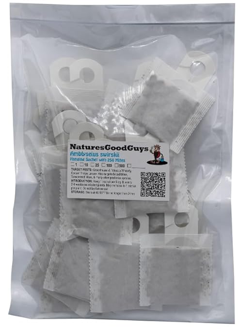 Amblyseius swirskii 25 Sachets with 250 Mites