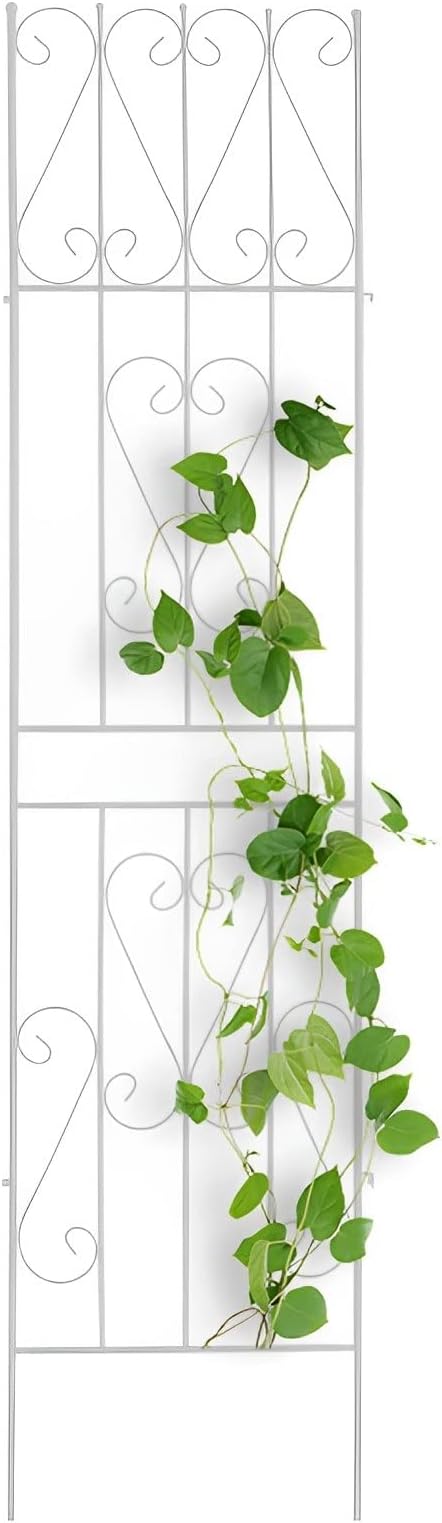 Outdoor Climbing Plant Grille Anti-Rust Iron Bracket Metal Garden Trellis Decorative Privacy Screen Black/White(Color:WhiteSize:180x50cm/71x20in)