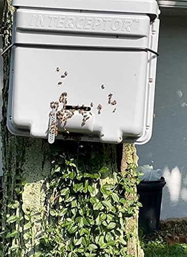 Honeybee Swarm Trap-THE INTERCEPTOR PRO Complete Kit ASSEMBLED With Frames Foundation Lure &amp REAL Beeswax Coating (also includes tree strap &amp hooks)