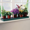 Garland Self Watering Windowsill Plant Tray