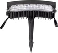 Landscape SpotlightsIP65 Waterproof with Transformerfor Palm Tree Planters(1 Sets)