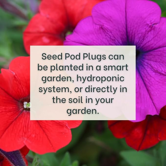 Red Petunia - Complete Seed Pod Plugs with Plant Food - 10 Pods for Hydroponic Gardens Click and Grow Lettuce Grow and Outdoor Gardens