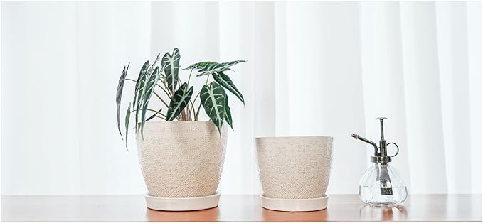 Docrin Ceramic Plant Pots Indoor 6.6 + 5.5 Inch Planters with Drainage Holes and Saucer for Home/Office - Set of 2 /White
