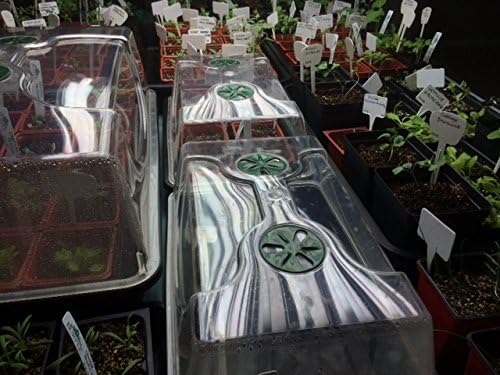 EarlyGrow 70738 Medium Domed Propagator 15 x 9 x 7 Black/Dark Green