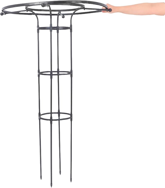 BESPORTBLE Umbrella Shaped Plant Support Trellis for Climbing Vines and Roses Easy Assembly No Tools Needed Outdoor Garden Climbing Frame Versatile Plant Protection Device Black Double Ring