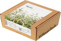 Click and Grow Smart Garden Thyme Plant Pods 9-Pack