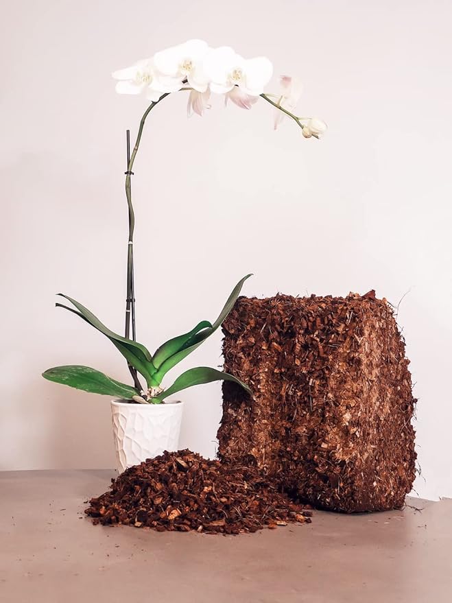Coco Coir Husk Chips 4-Pack – 2.4 Cu. Ft. Compressed Coconut Coir Bricks 10 lb. Natural Substrate for Indoor &amp Outdoor Use Orchid Bark Alternative Orchid Potting Mix Indoor Plant Soil